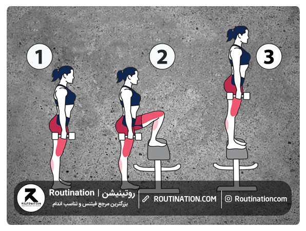 Dumbbell Step Up (استپ آپ دمبل)